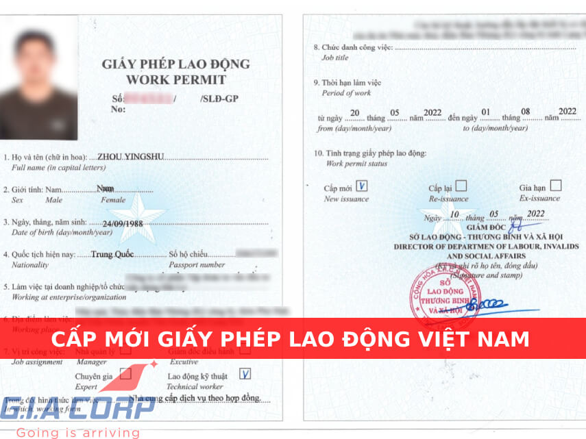 cấp mới giấy phép lao động