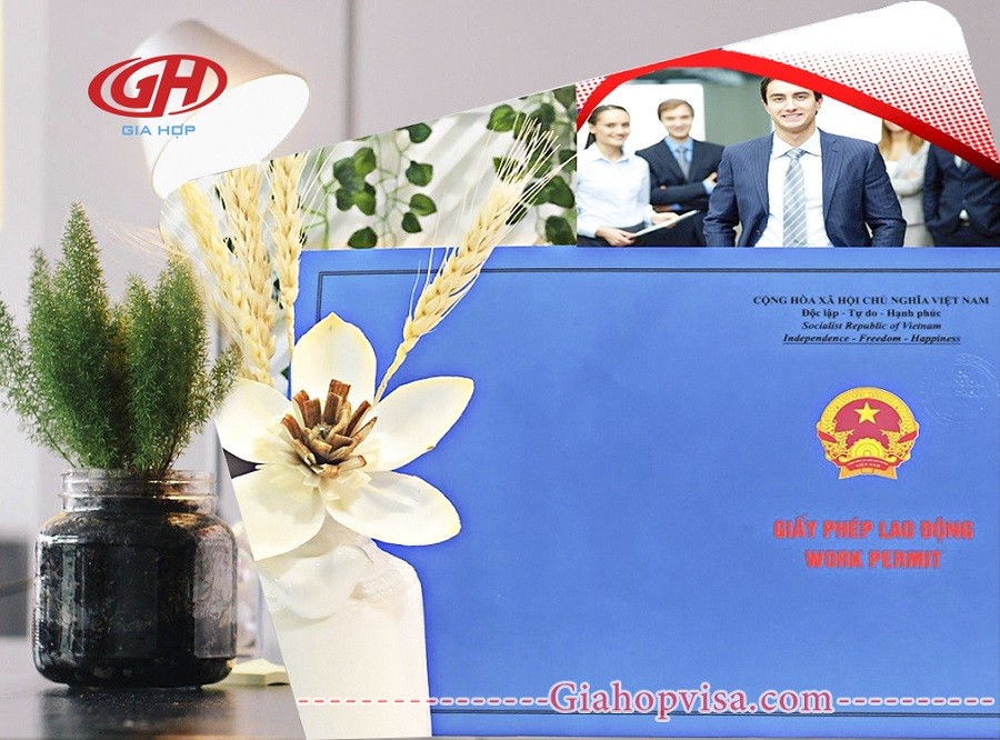 thoi han cua hop dong lao dong khong duoc vuot qua voi thoi han giay phep lao dong 61ce89fc4c1f4