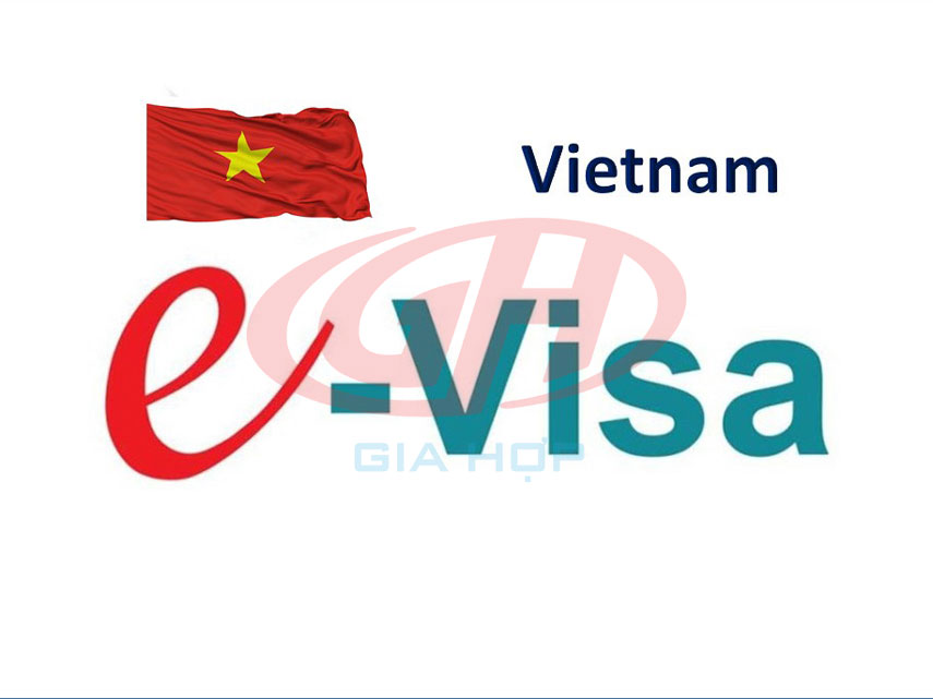 Visa Việt Nam E-Visa