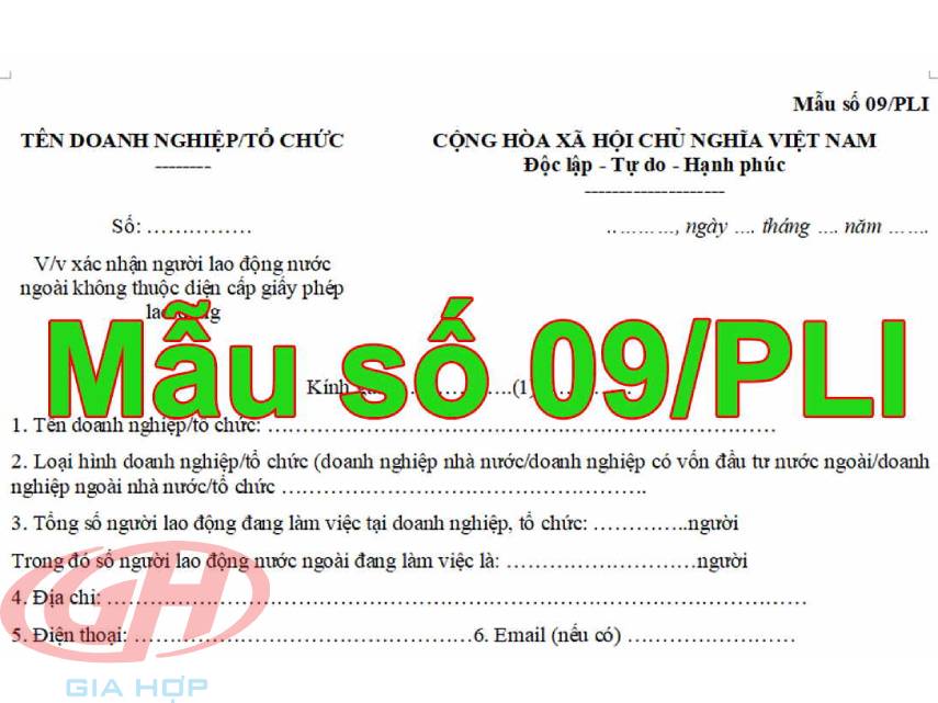 mẫu số 09/pli nghị định 152