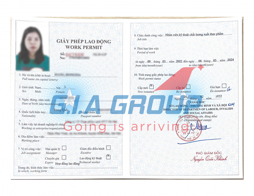 giấy phép lao động cho người nước ngoài ở vị trí lao động kỹ thuật
