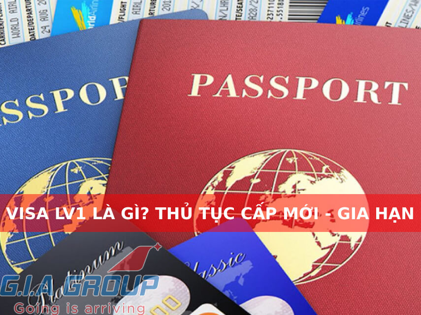 Visa LV1