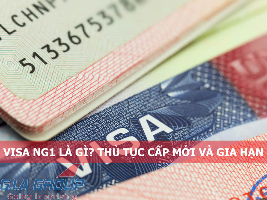 visa ng1