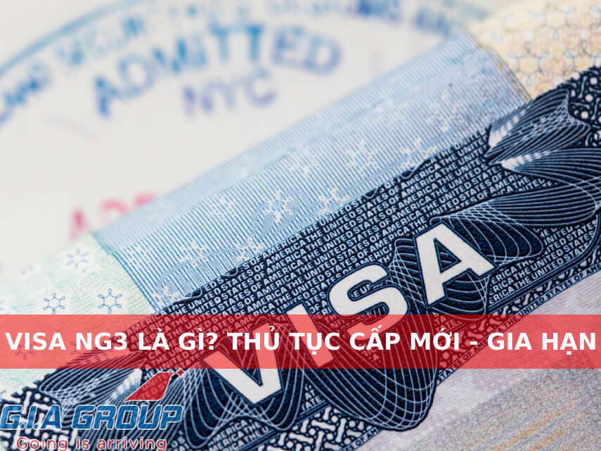 visa ng3
