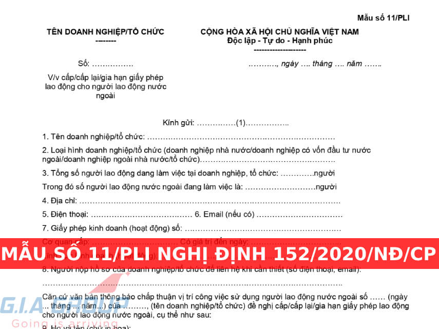 mẫu số 11/pli nghị định 152/2020/nđ-cp