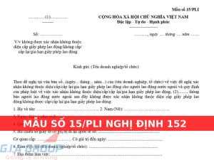 Mẫu số 15/PLI Nghị định 152