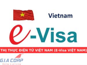 thị thực điện tử việt nam (e-visa việt nam)